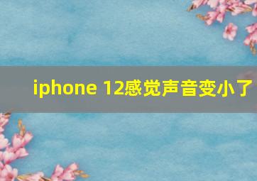 iphone 12感觉声音变小了